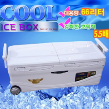 행관 슈퍼바이저 66L